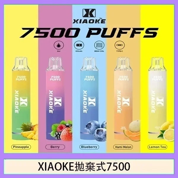 XIAOKE 梟客拋棄式電子煙7500口｜一次性可充電・發光設計・現貨